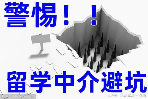 北京留學(xué)中介機(jī)構(gòu)權(quán)威揭露 十大排名內(nèi)幕優(yōu)劣勢自費(fèi)出國指南